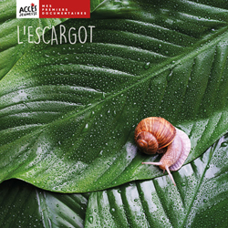 Documentaire L'escargot