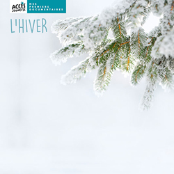 Documentaire L'hiver