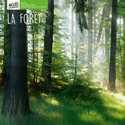 Documentaire La forêt