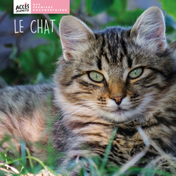 Documentaire Le chat