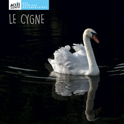 Documentaire Le cygne