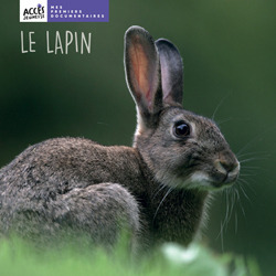 Documentaire Le lapin