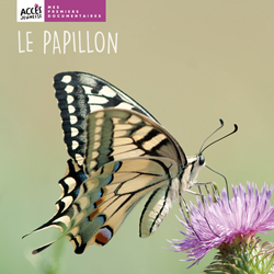 Documentaire Le papillon