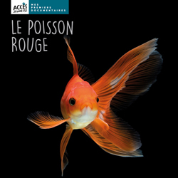 Documentaire Le poisson rouge