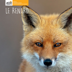 Documentaire Le renard