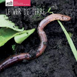 Documentaire Le ver de terre