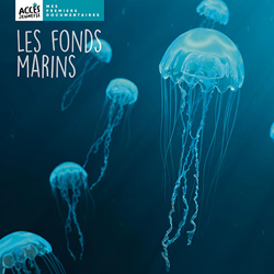 Documentaire Les fonds marins